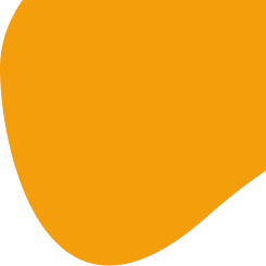 garnish
